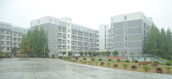 精英专升本校区 精英专升本校区