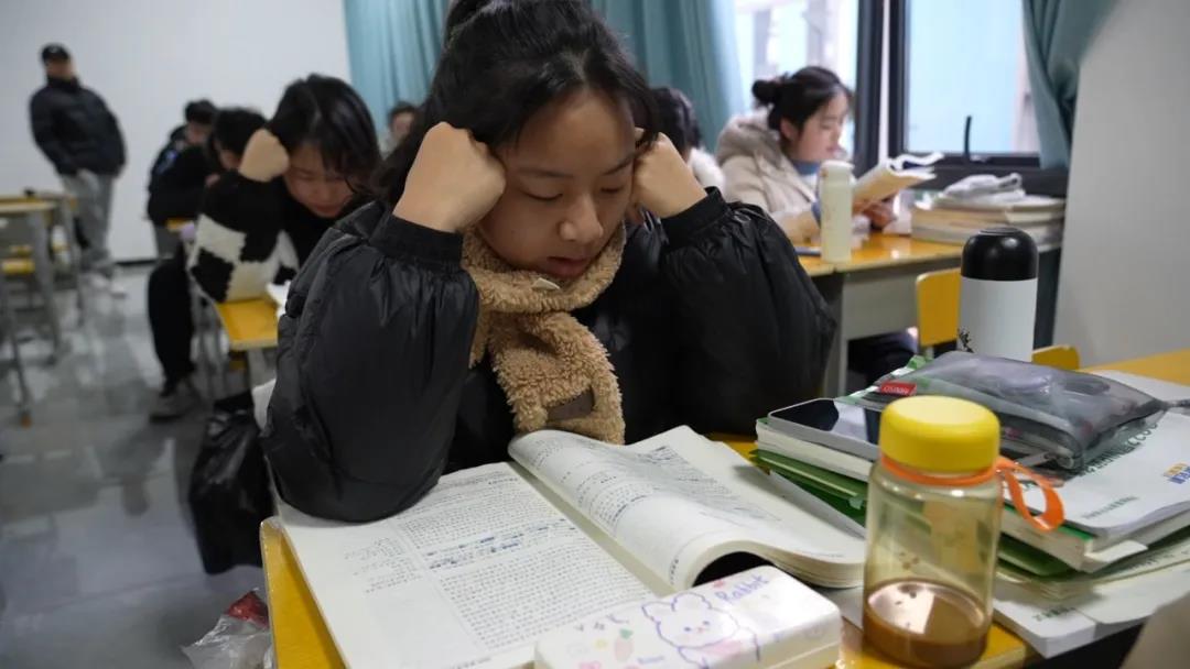 精英专升本冲刺班