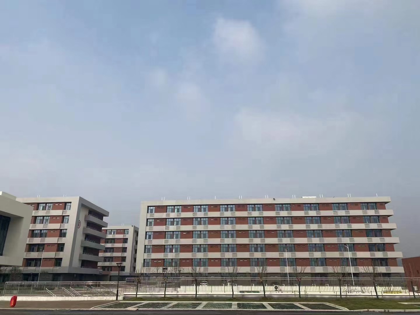 精英新桥校区